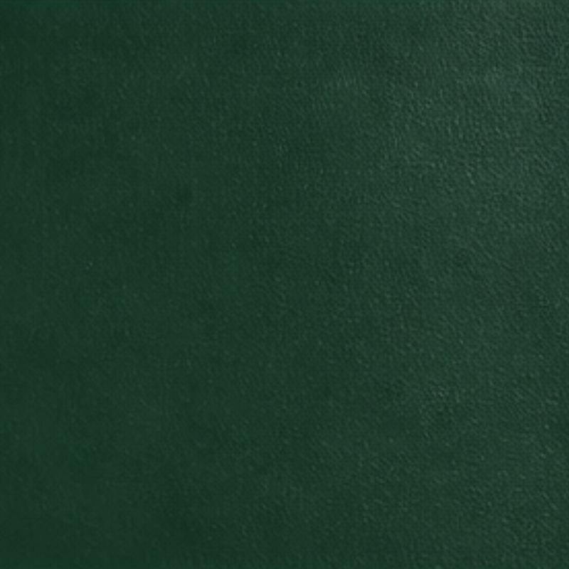 Plain Colored Café Banner – Double-Sided Green Vinyl 450GSM